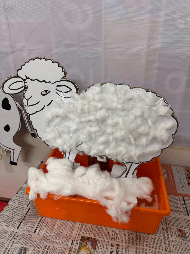 Cotton Sheep Craft
